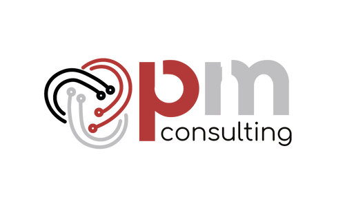 PM Consulting